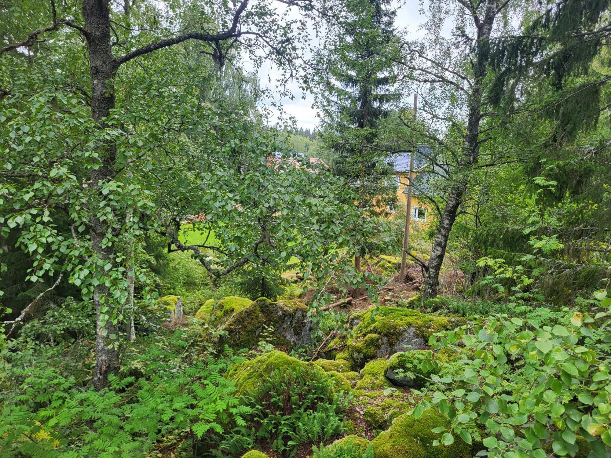 3 Bedroom Cottage With Sauna By The Sea Vaasa Dış mekan fotoğraf